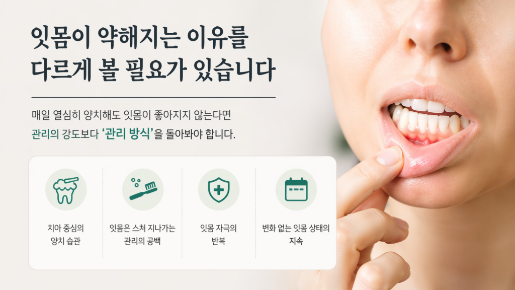 잇몸 치약 대표이미지