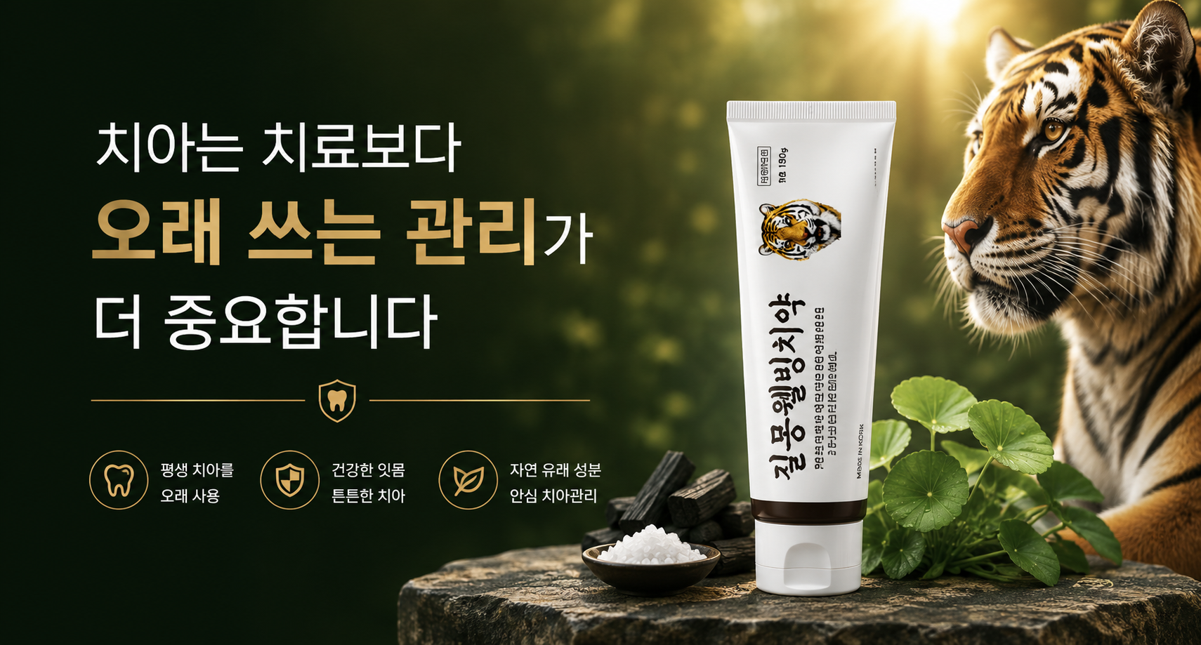 치아 관리
