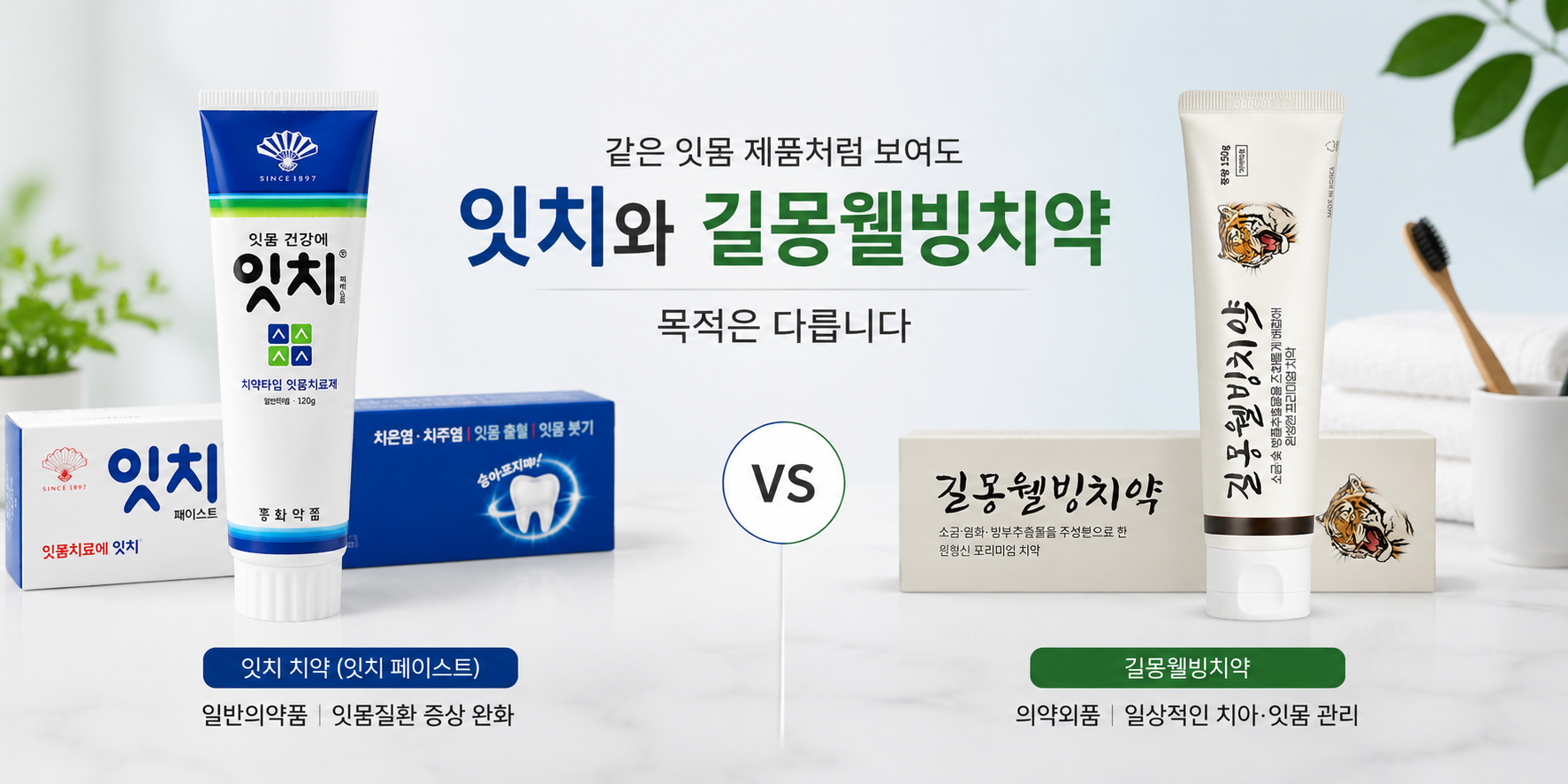 잇치 치약 vs 길몽웰빙치약 비교